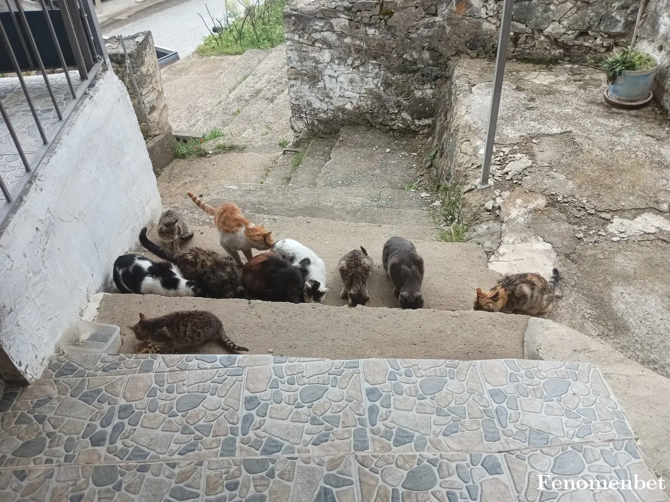 ArmgnCn tarafından paylaşılan fotoğraf