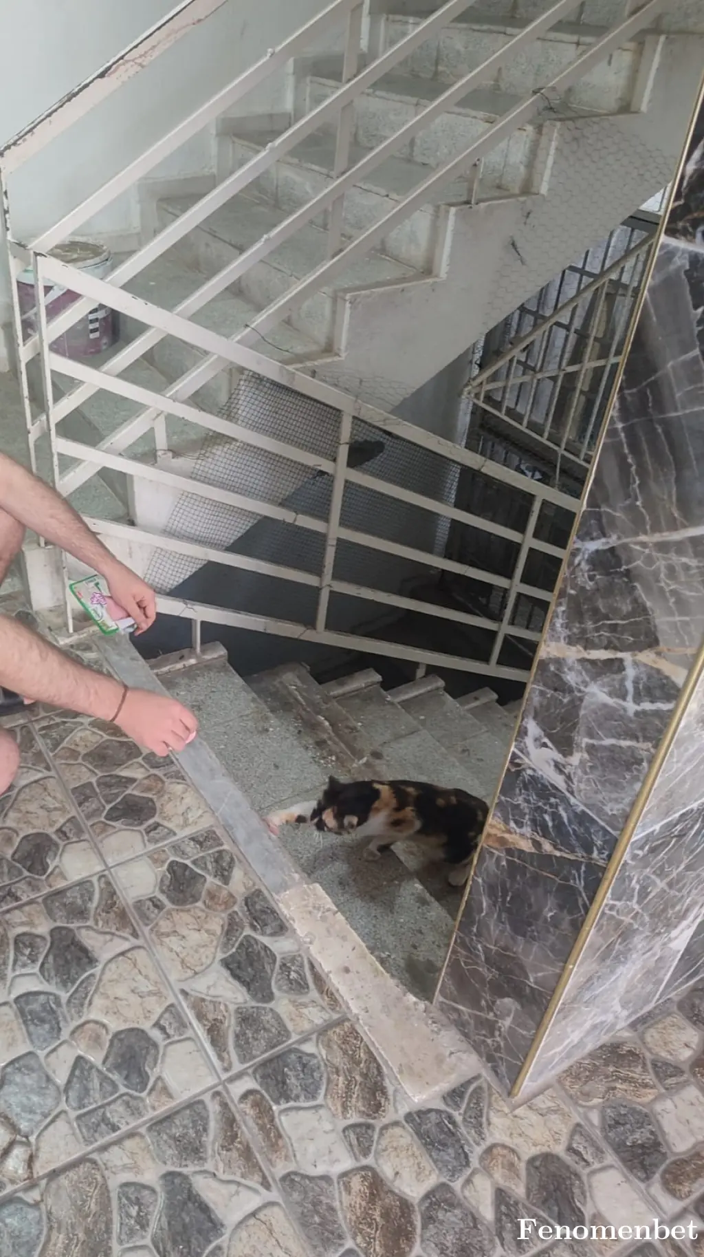 paryesa tarafından paylaşılan fotoğraf