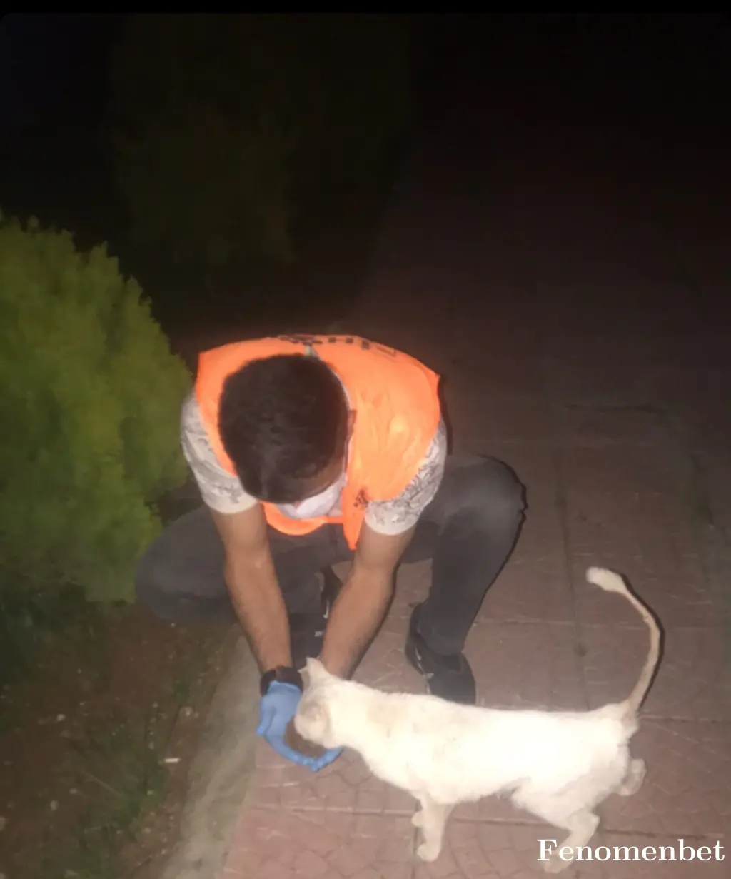xumer56 tarafından paylaşılan fotoğraf