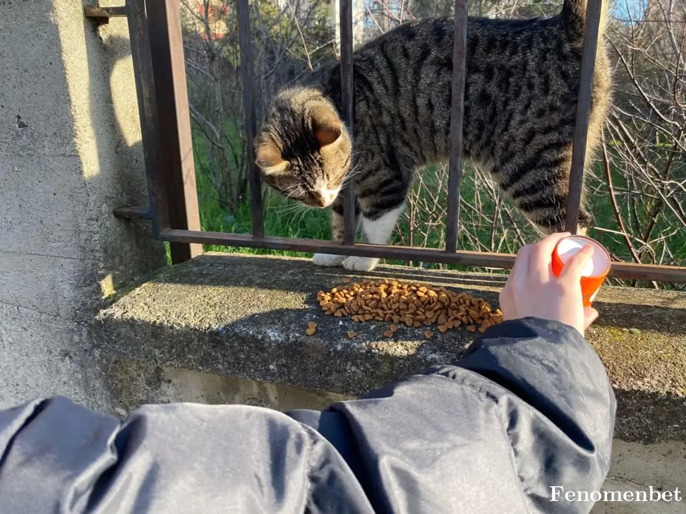Ayse027 tarafından paylaşılan fotoğraf