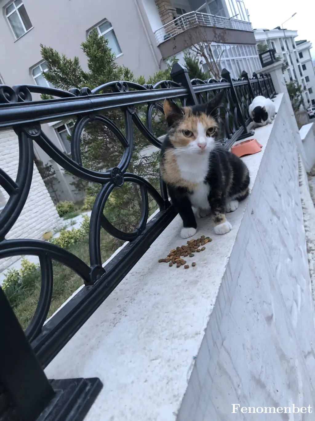 Zeki0048 tarafından paylaşılan fotoğraf