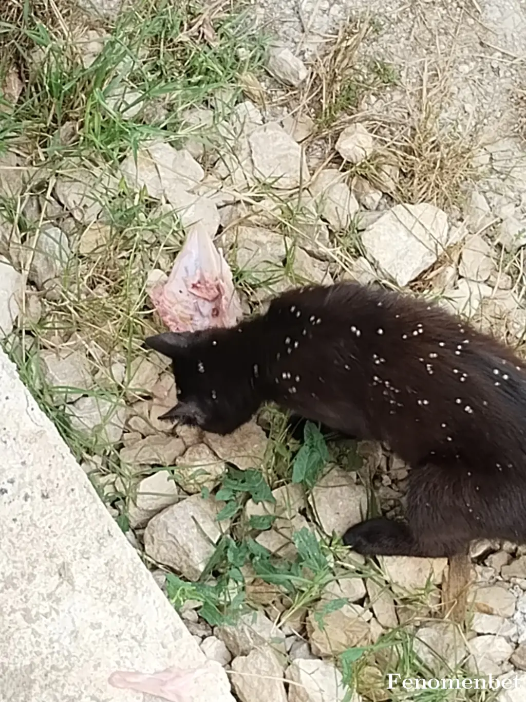 Zeychan tarafından paylaşılan fotoğraf
