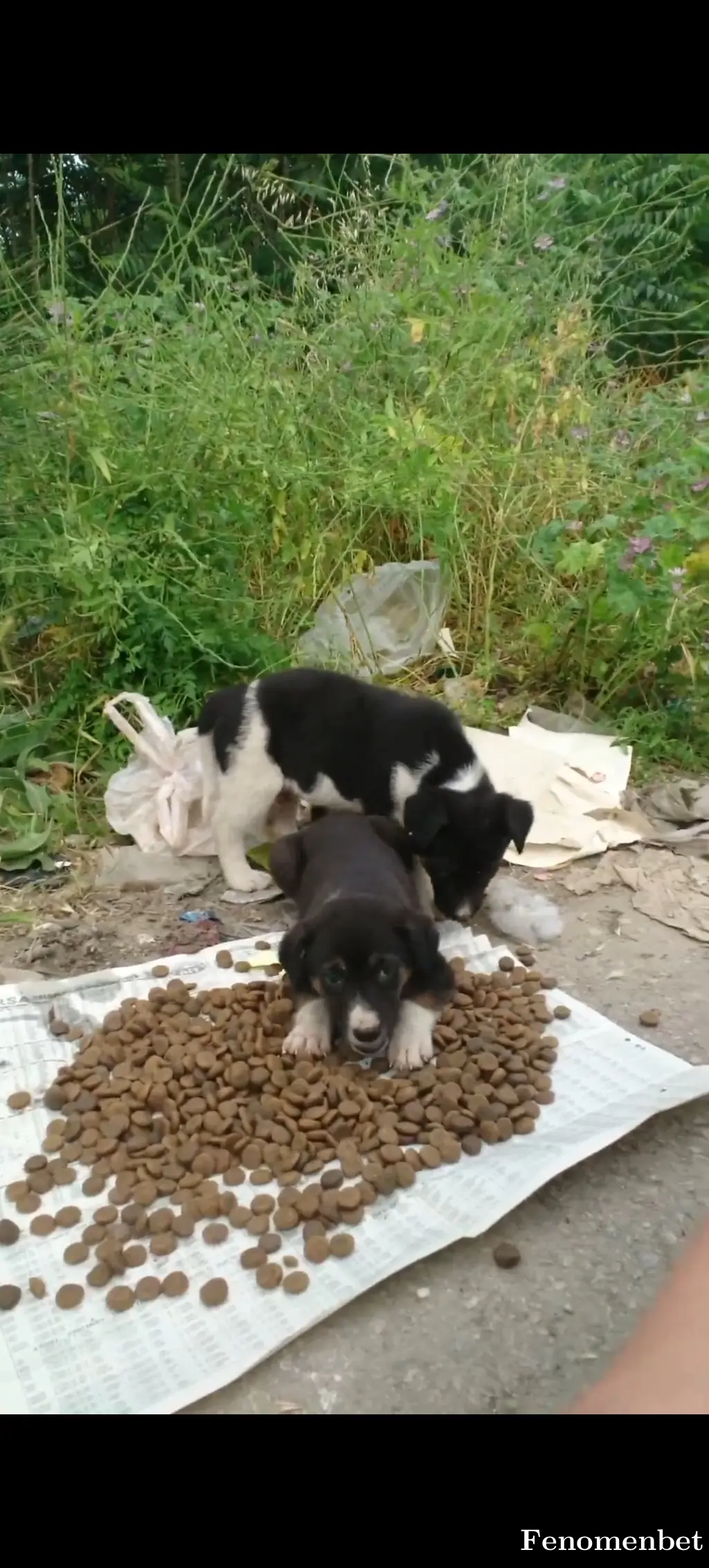 Trbombom tarafından paylaşılan fotoğraf