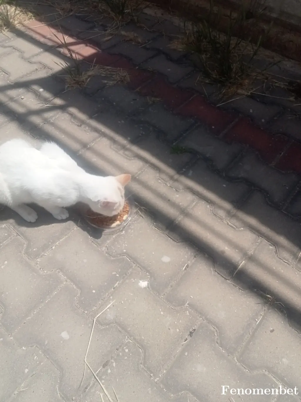 Tumo1616 tarafından paylaşılan fotoğraf