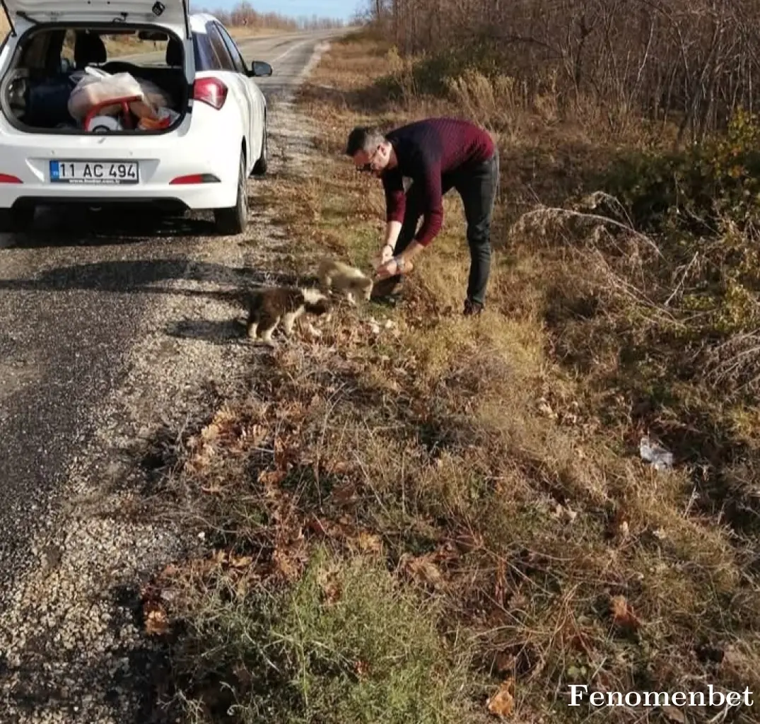 Sezgin125 tarafından paylaşılan fotoğraf