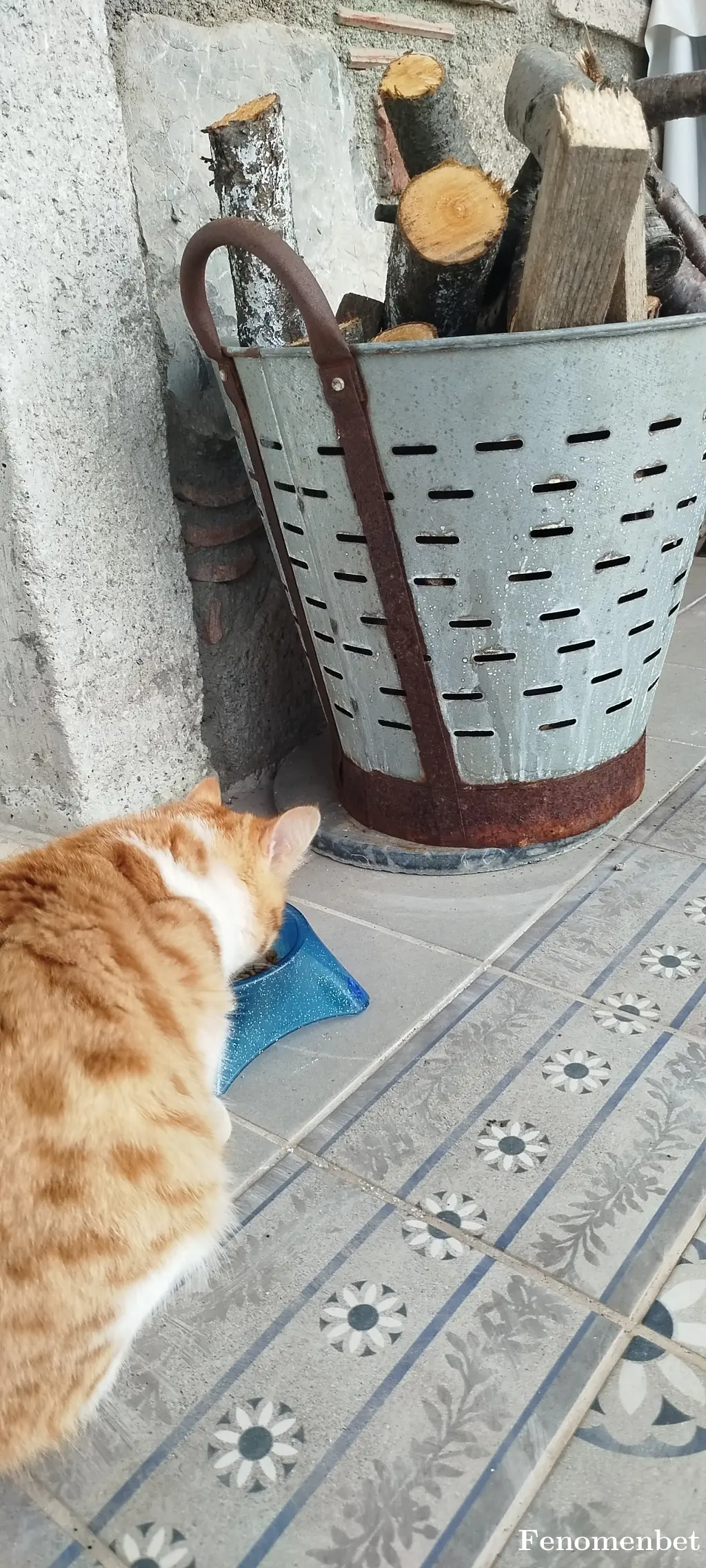 Bitiklik35 tarafından paylaşılan fotoğraf