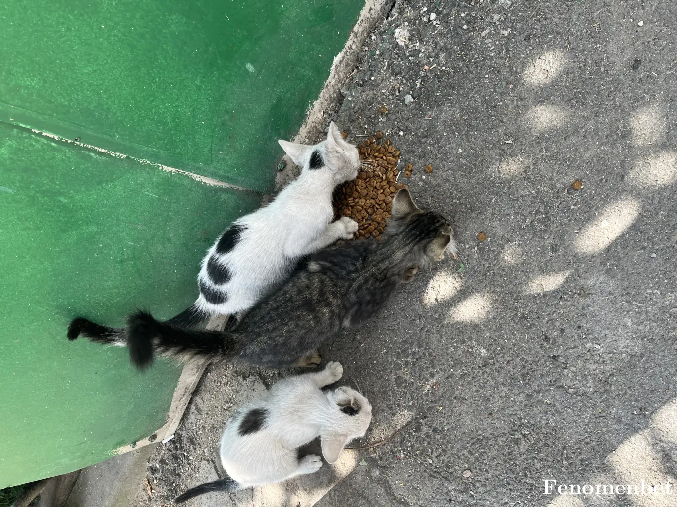 evognss16 tarafından paylaşılan fotoğraf