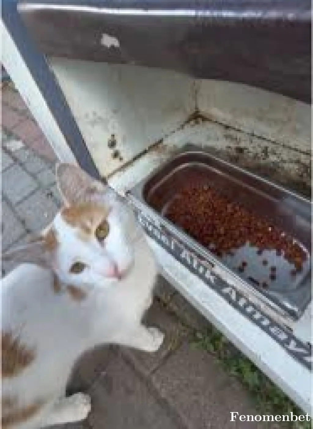 Messiker1 tarafından paylaşılan fotoğraf