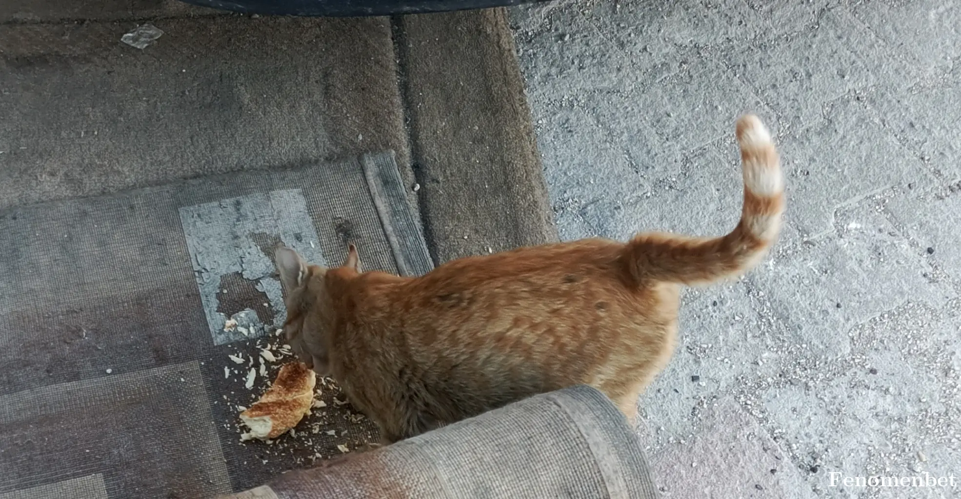 Ayar27ayar tarafından paylaşılan fotoğraf