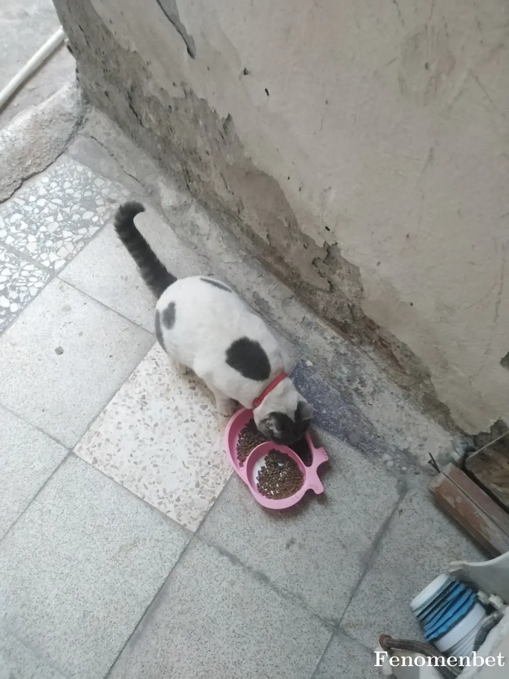 Ssero35 tarafından paylaşılan fotoğraf
