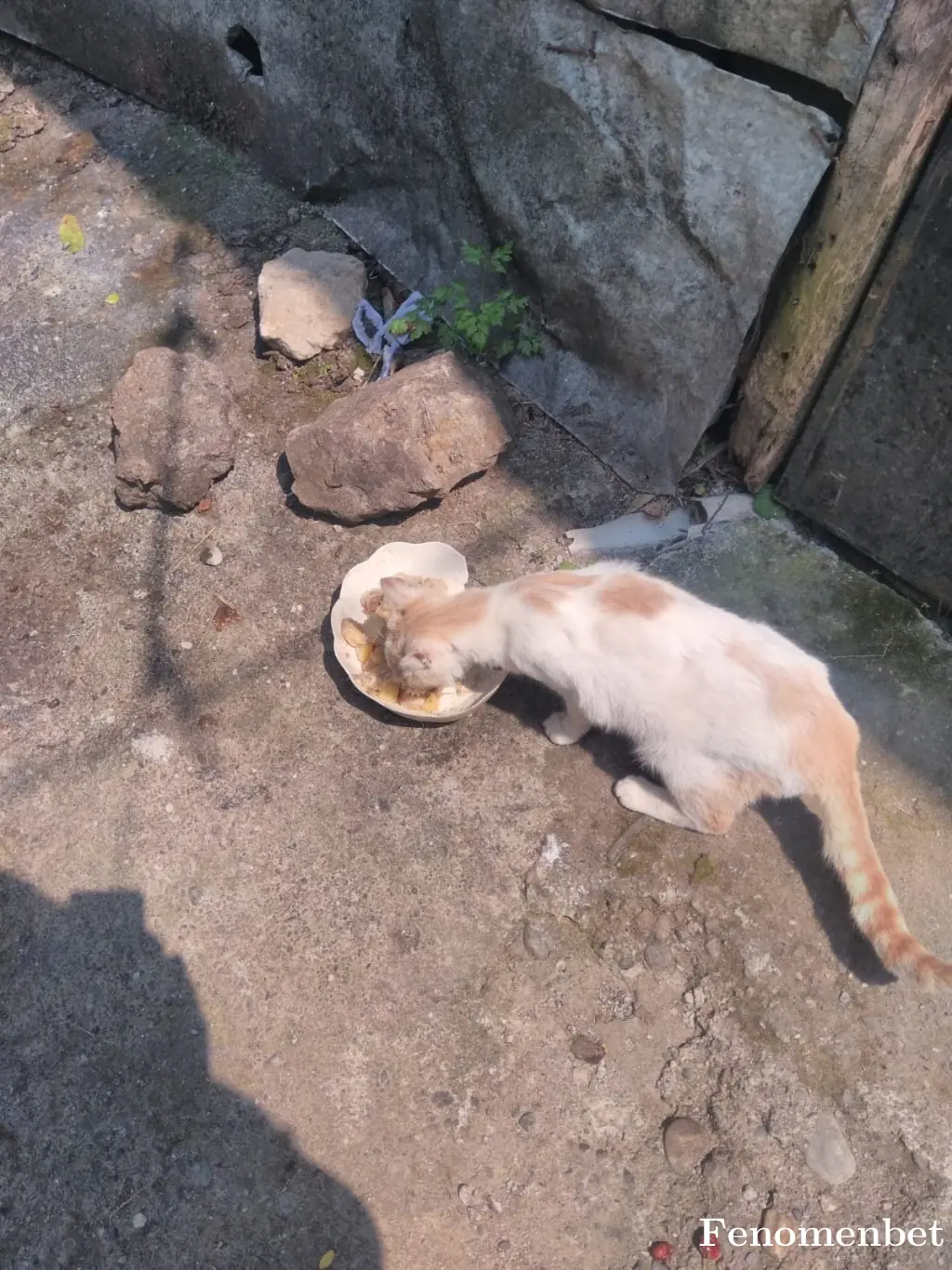 Suskun37  tarafından paylaşılan fotoğraf