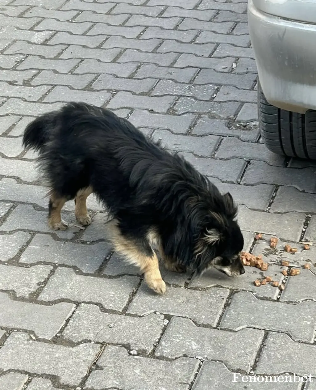 Cenkglr75 tarafından paylaşılan fotoğraf