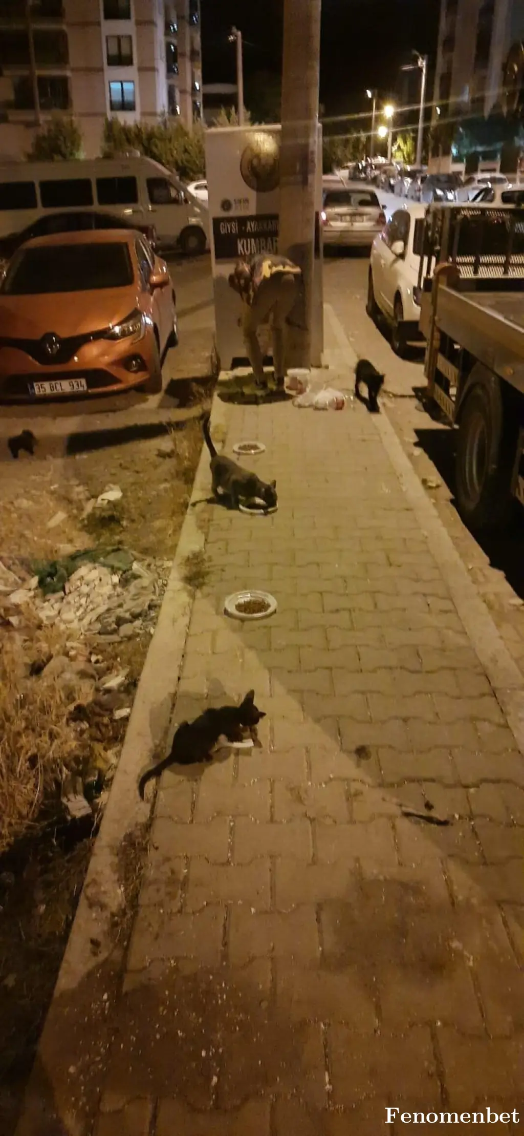 Bahox tarafından paylaşılan fotoğraf