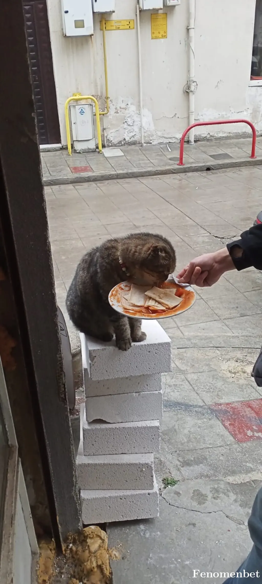 Muratkoska66 tarafından paylaşılan fotoğraf