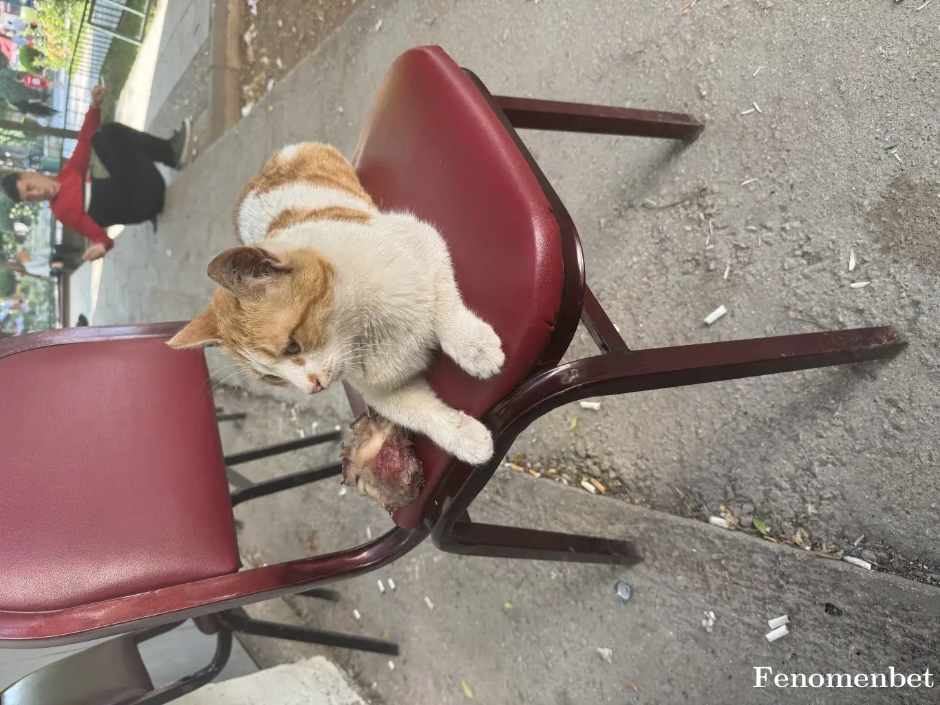 bonanzaci0 tarafından paylaşılan fotoğraf