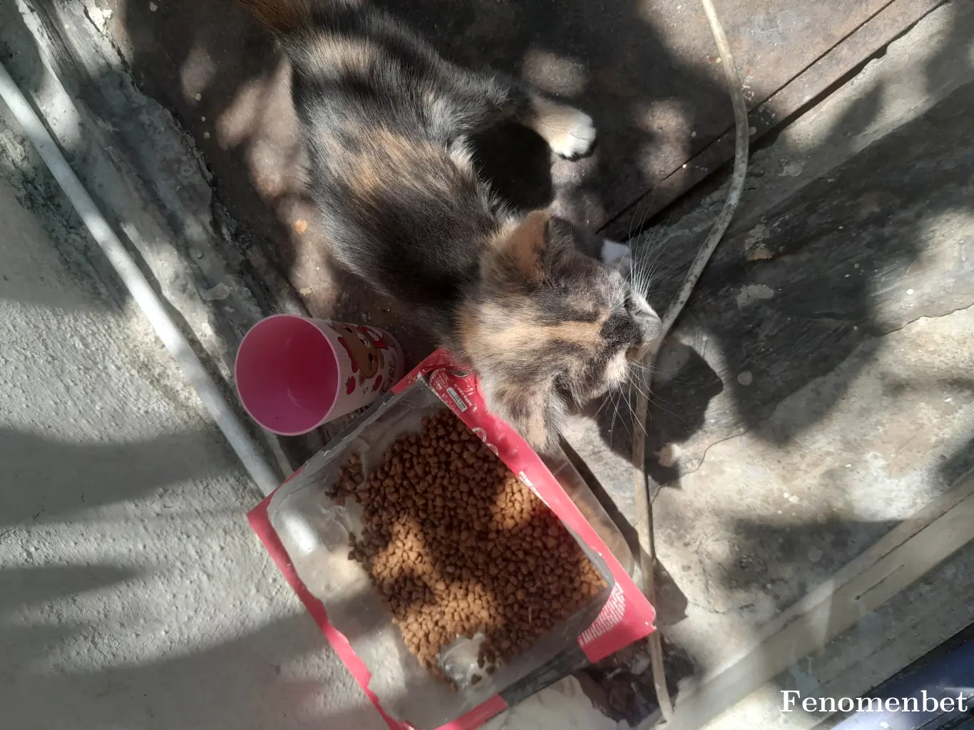 16ftm16 tarafından paylaşılan fotoğraf
