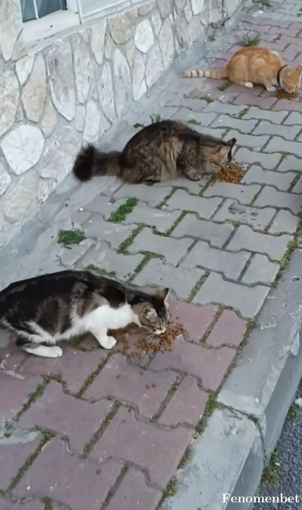 Zehragll27 tarafından paylaşılan fotoğraf