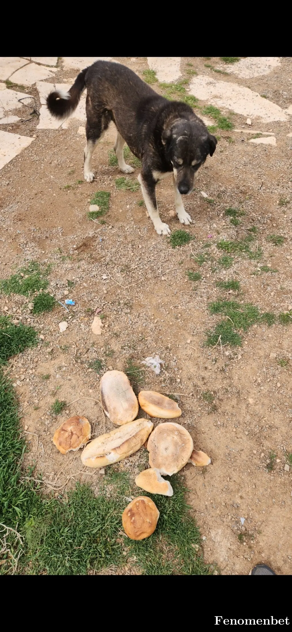 kadirr42 tarafından paylaşılan fotoğraf