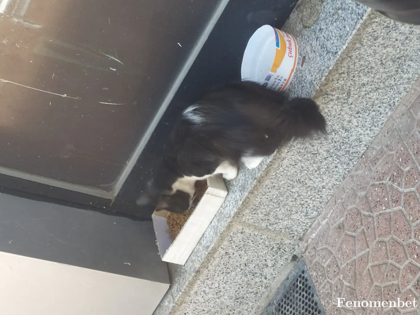 Stresyok11 tarafından paylaşılan fotoğraf