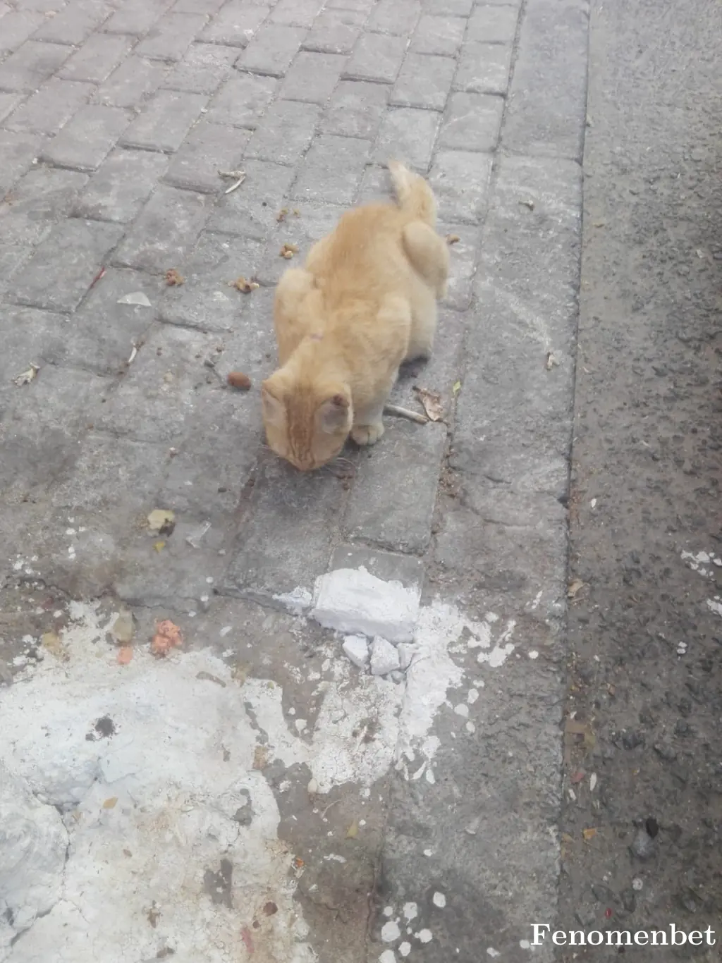 Kenanekinci tarafından paylaşılan fotoğraf