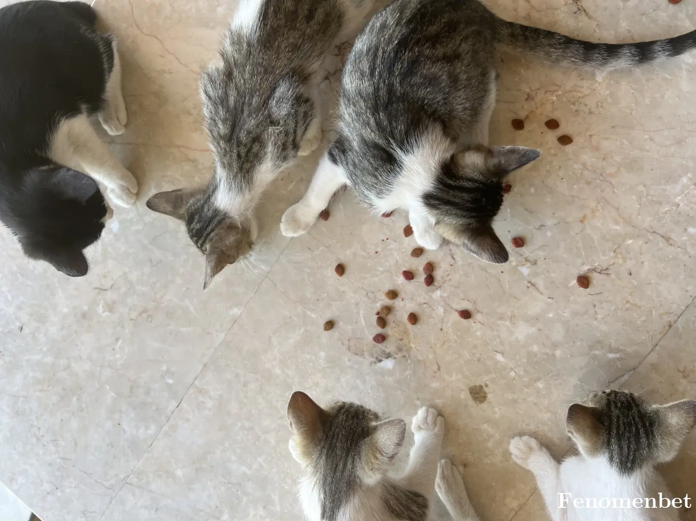 Ayseunal tarafından paylaşılan fotoğraf