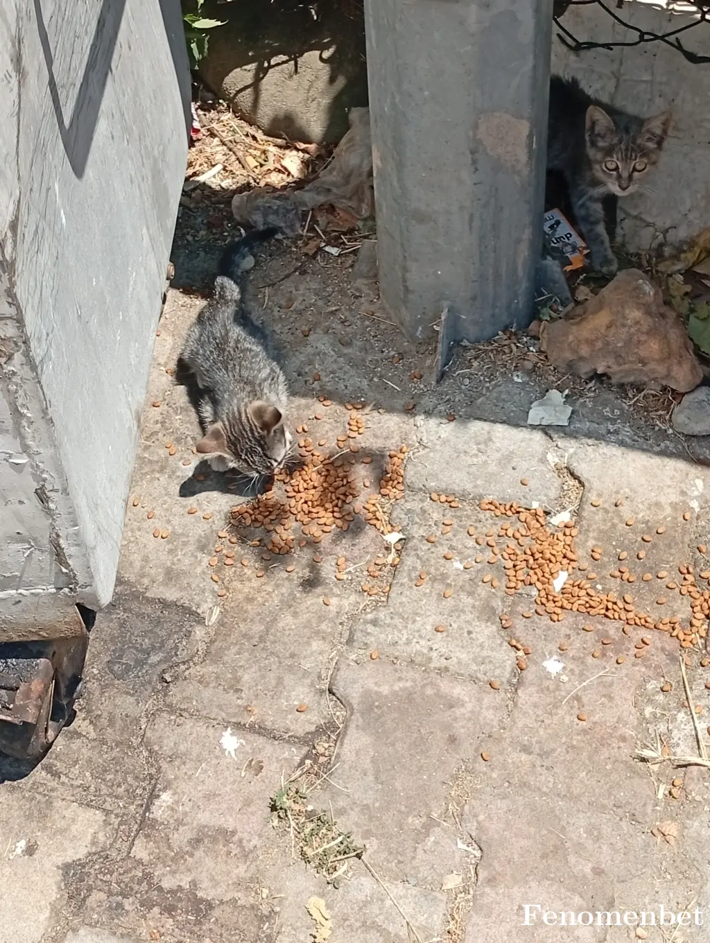 Koc58 tarafından paylaşılan fotoğraf
