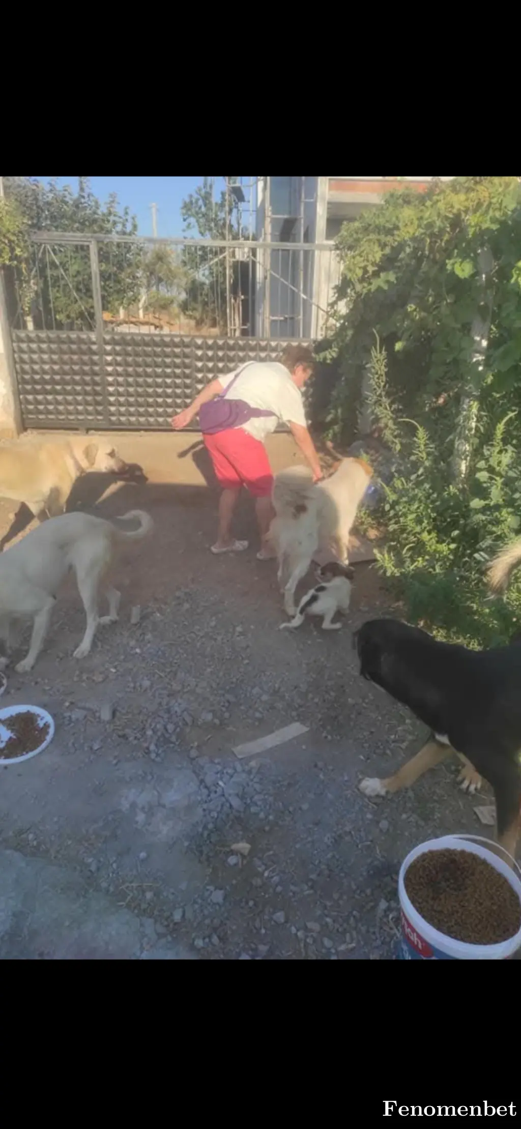 Adaden35 tarafından paylaşılan fotoğraf