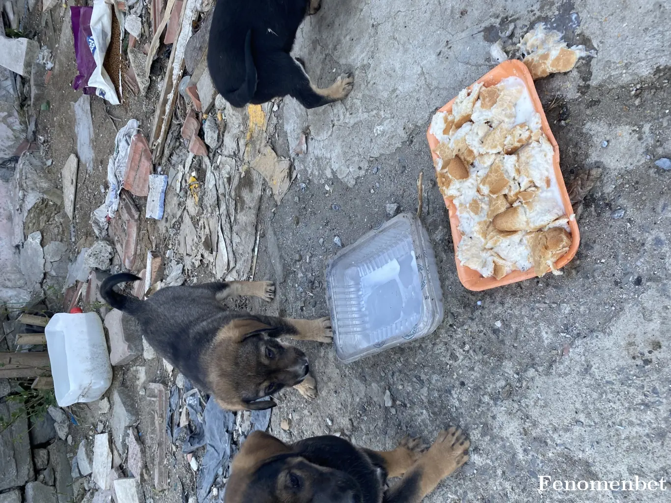 Mabel01 tarafından paylaşılan fotoğraf