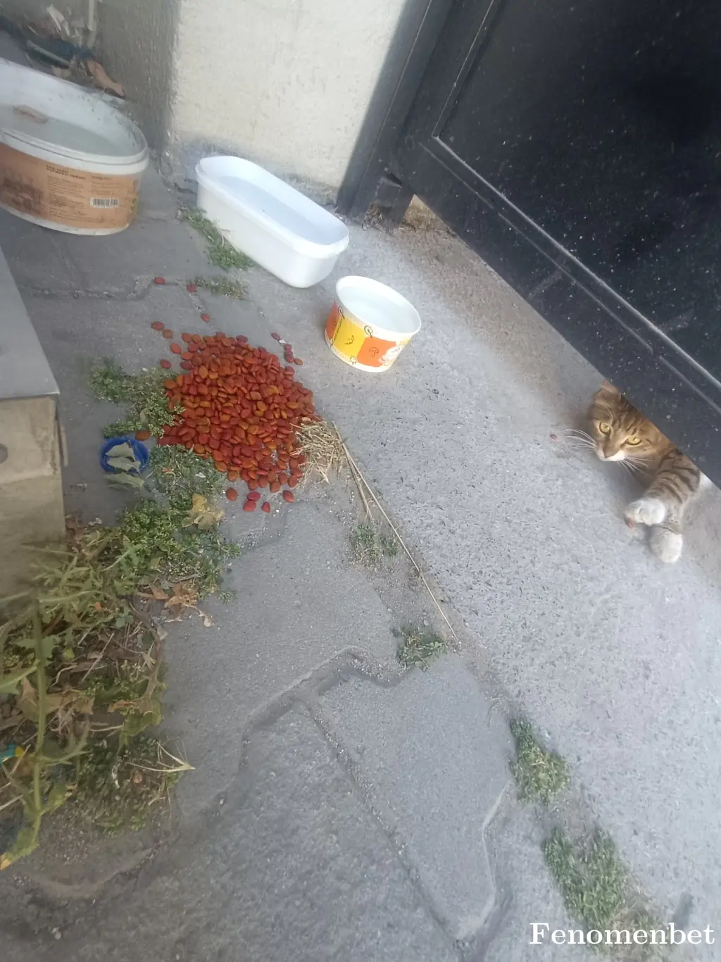 Kullanıcı adım gitoist tarafından paylaşılan fotoğraf
