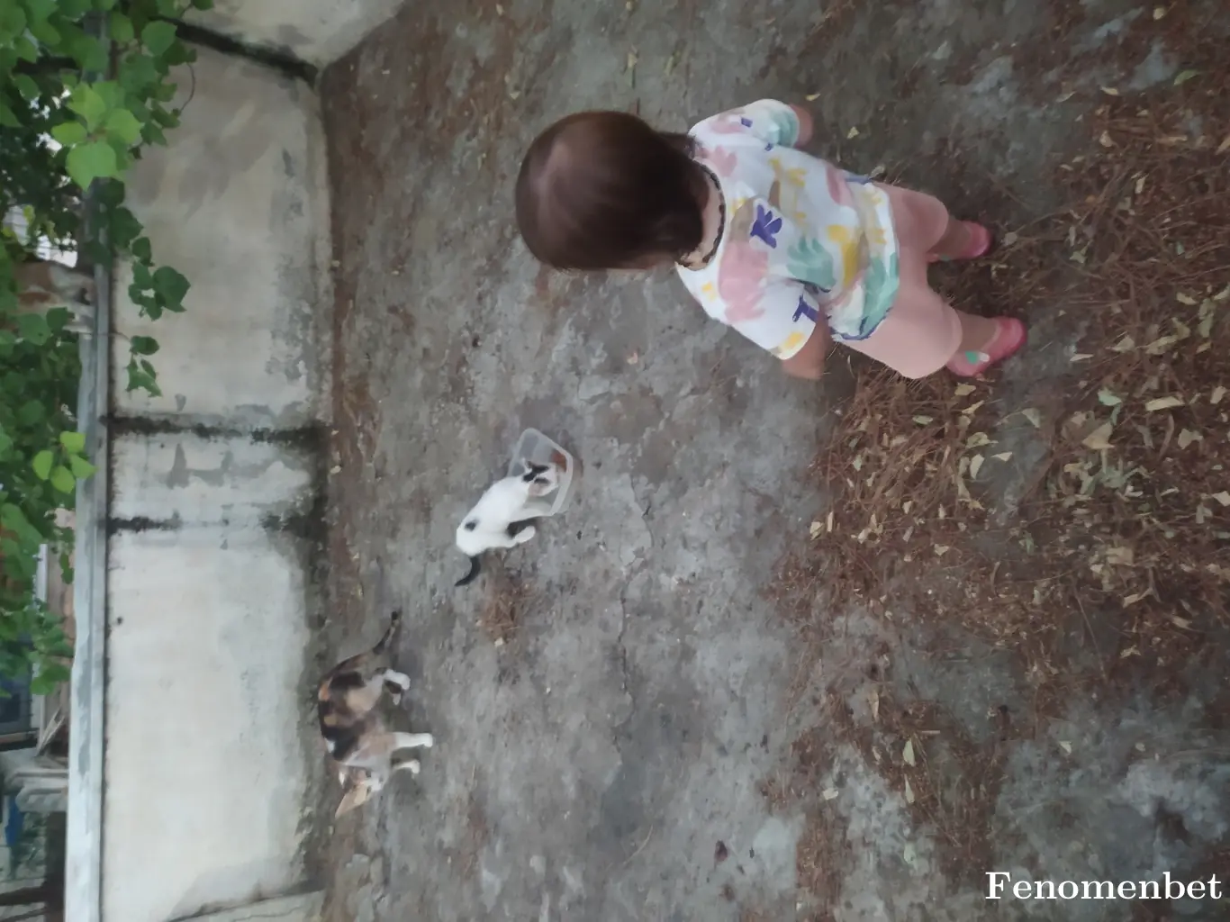 doganagyar tarafından paylaşılan fotoğraf