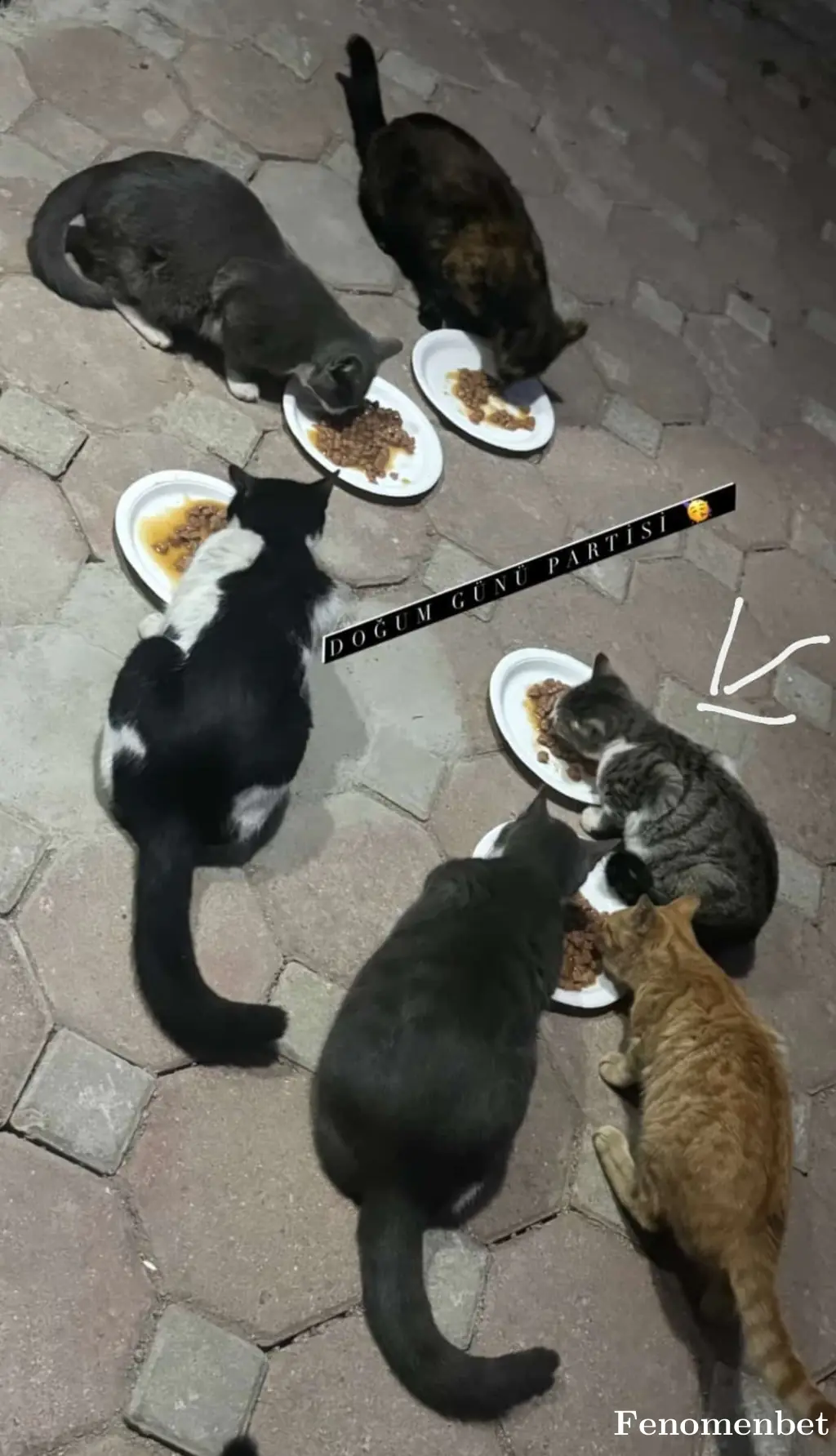 Beran62 tarafından paylaşılan fotoğraf