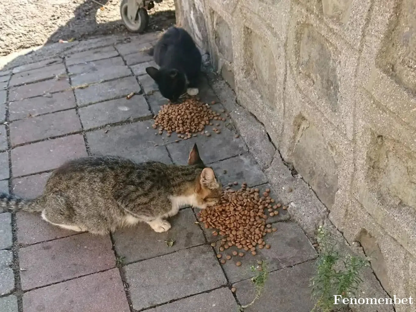 Fero026 tarafından paylaşılan fotoğraf