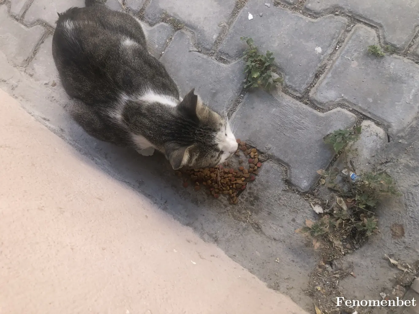 ugur354 tarafından paylaşılan fotoğraf