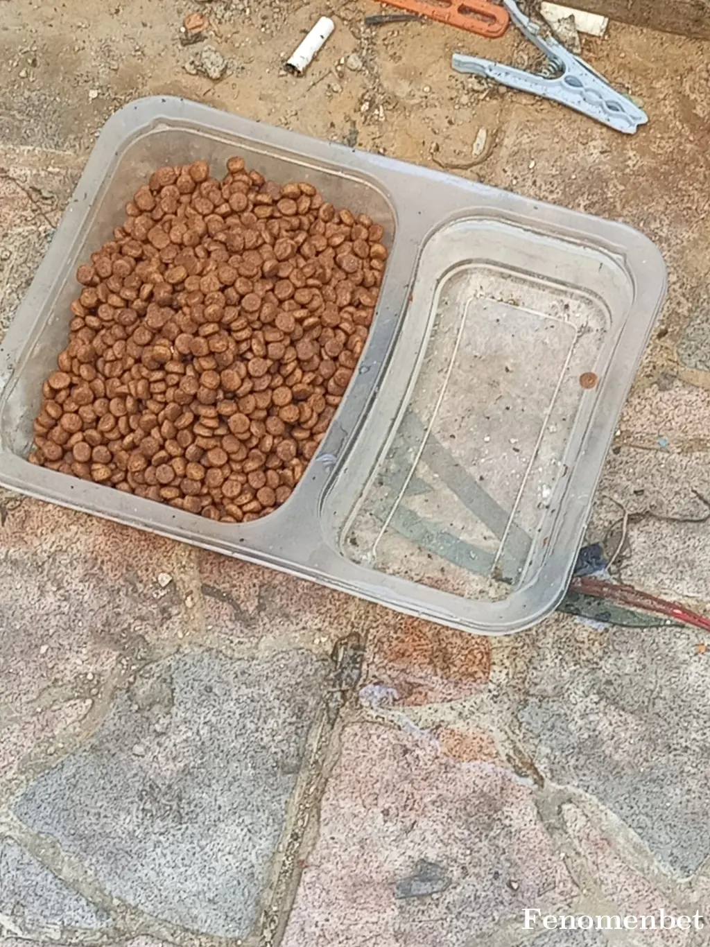 Bybilen123 tarafından paylaşılan fotoğraf