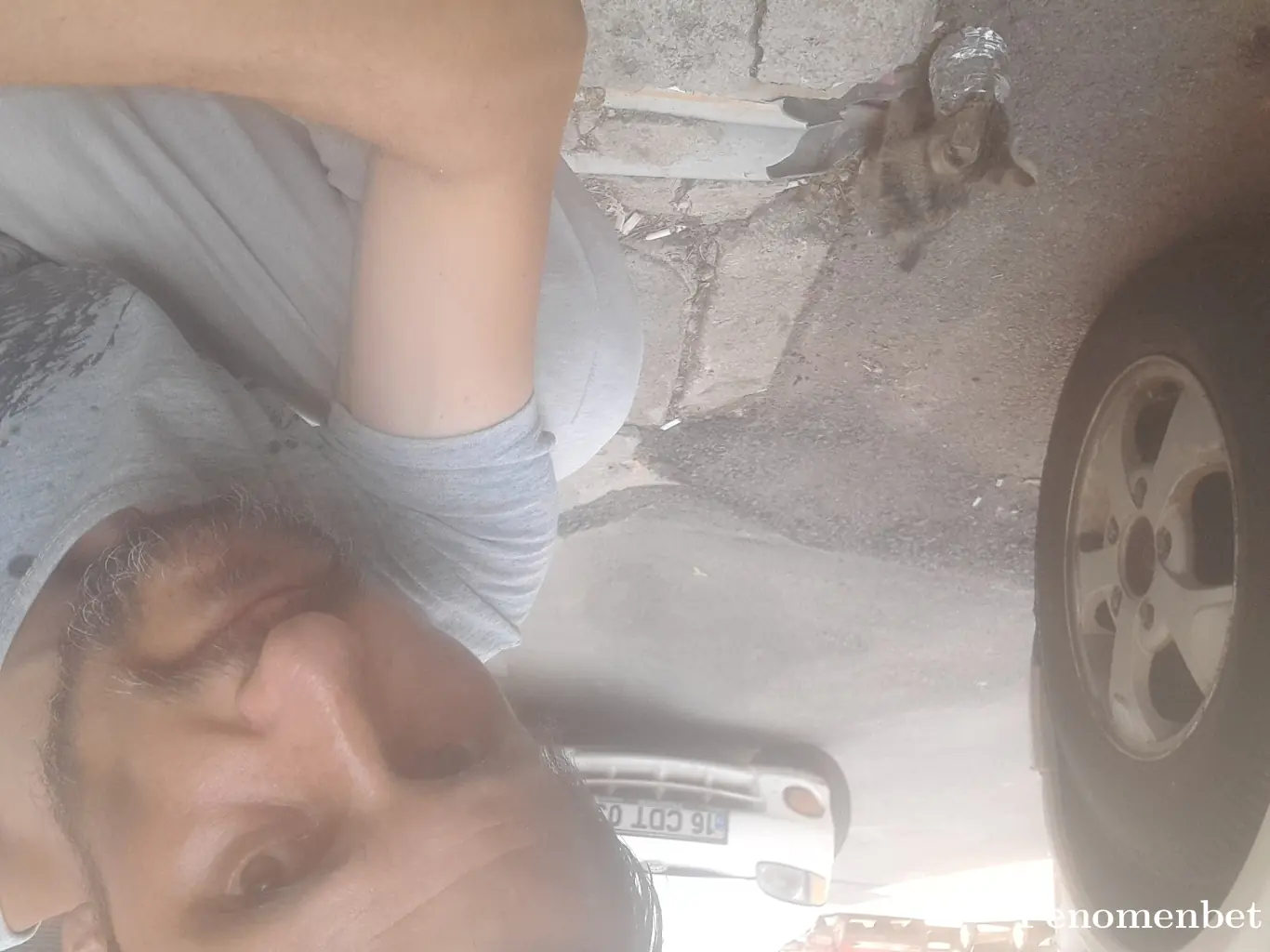 Teco16 tarafından paylaşılan fotoğraf