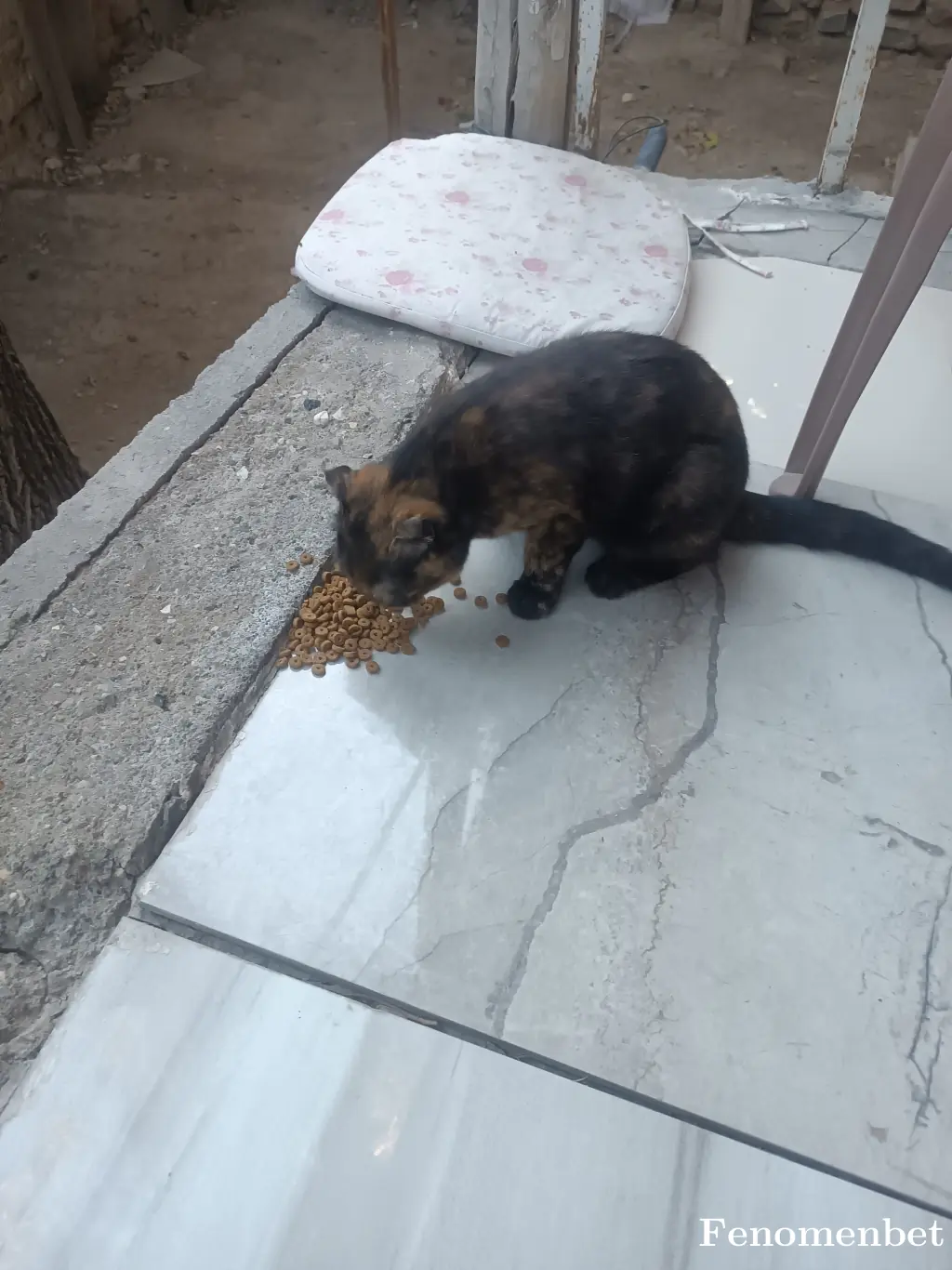 Usta2362 tarafından paylaşılan fotoğraf