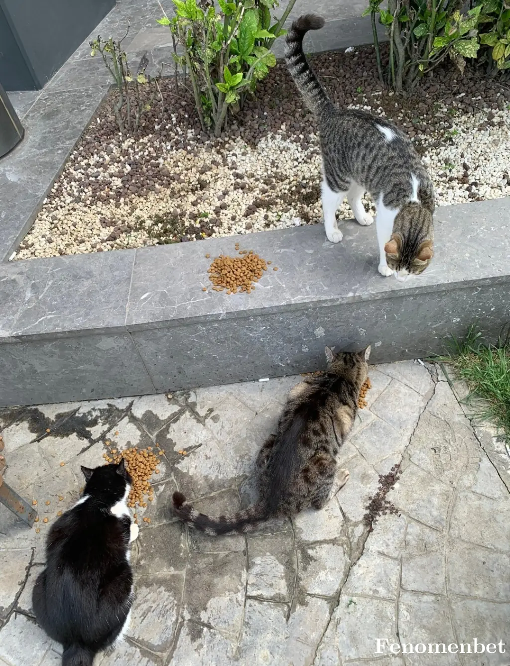 Ugr2017 tarafından paylaşılan fotoğraf