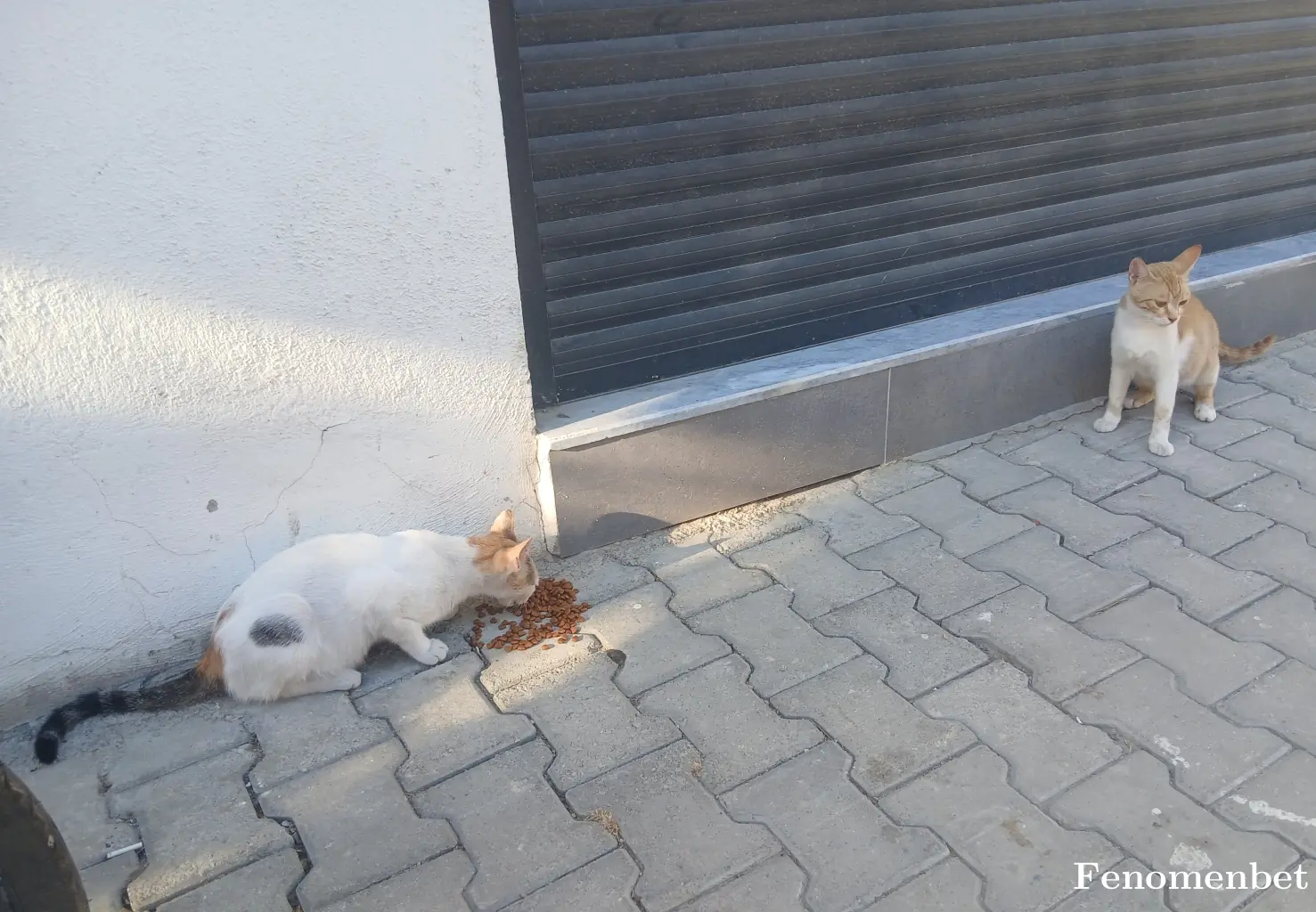 Freeyourself tarafından paylaşılan fotoğraf