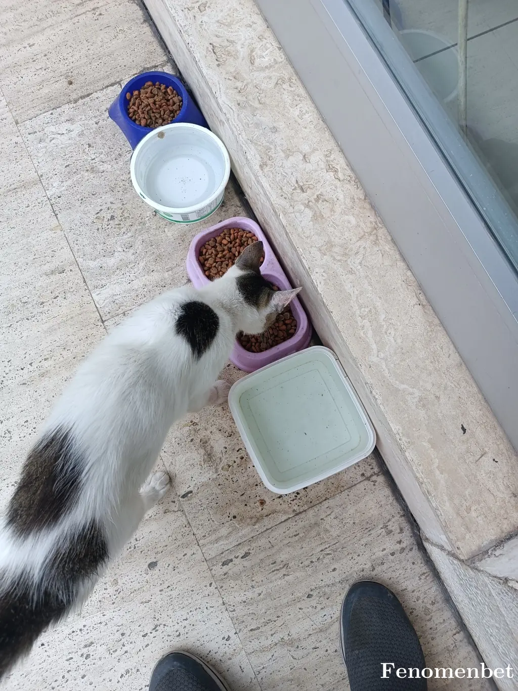 Halukbey47  tarafından paylaşılan fotoğraf