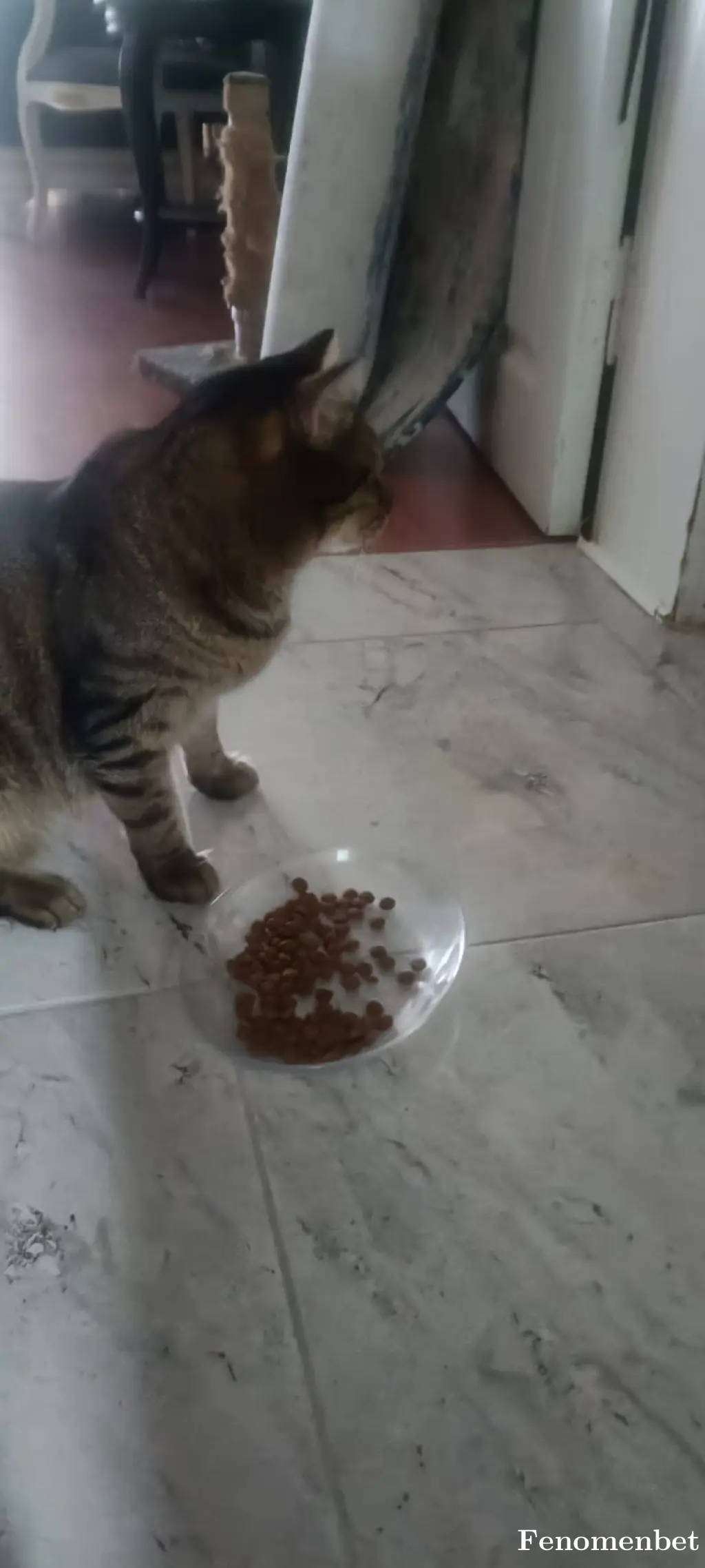 Plt123 tarafından paylaşılan fotoğraf