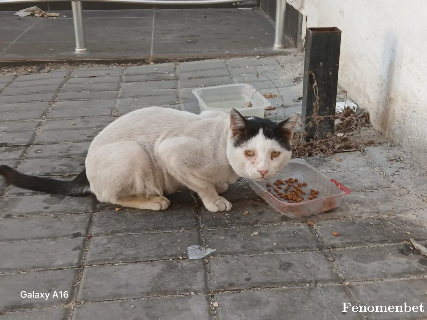asiltim tarafından paylaşılan fotoğraf