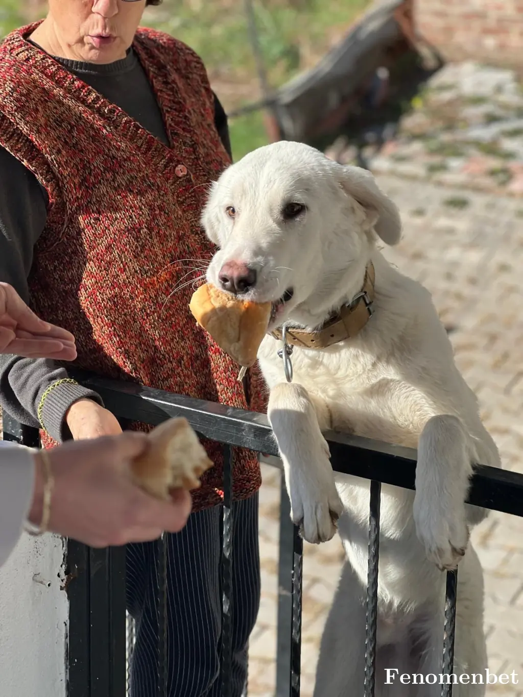 ilayda18 tarafından paylaşılan fotoğraf