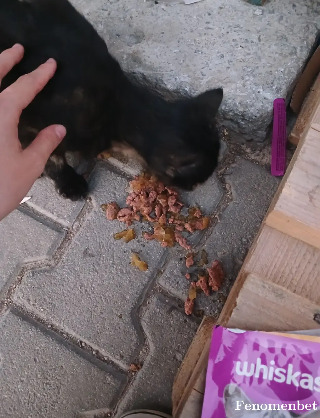 Ugr2017 tarafından paylaşılan fotoğraf