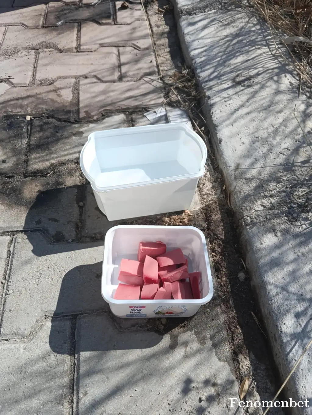 bombaci20 tarafından paylaşılan fotoğraf