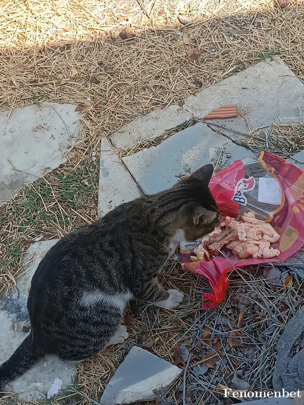 toplamanaliz tarafından paylaşılan fotoğraf