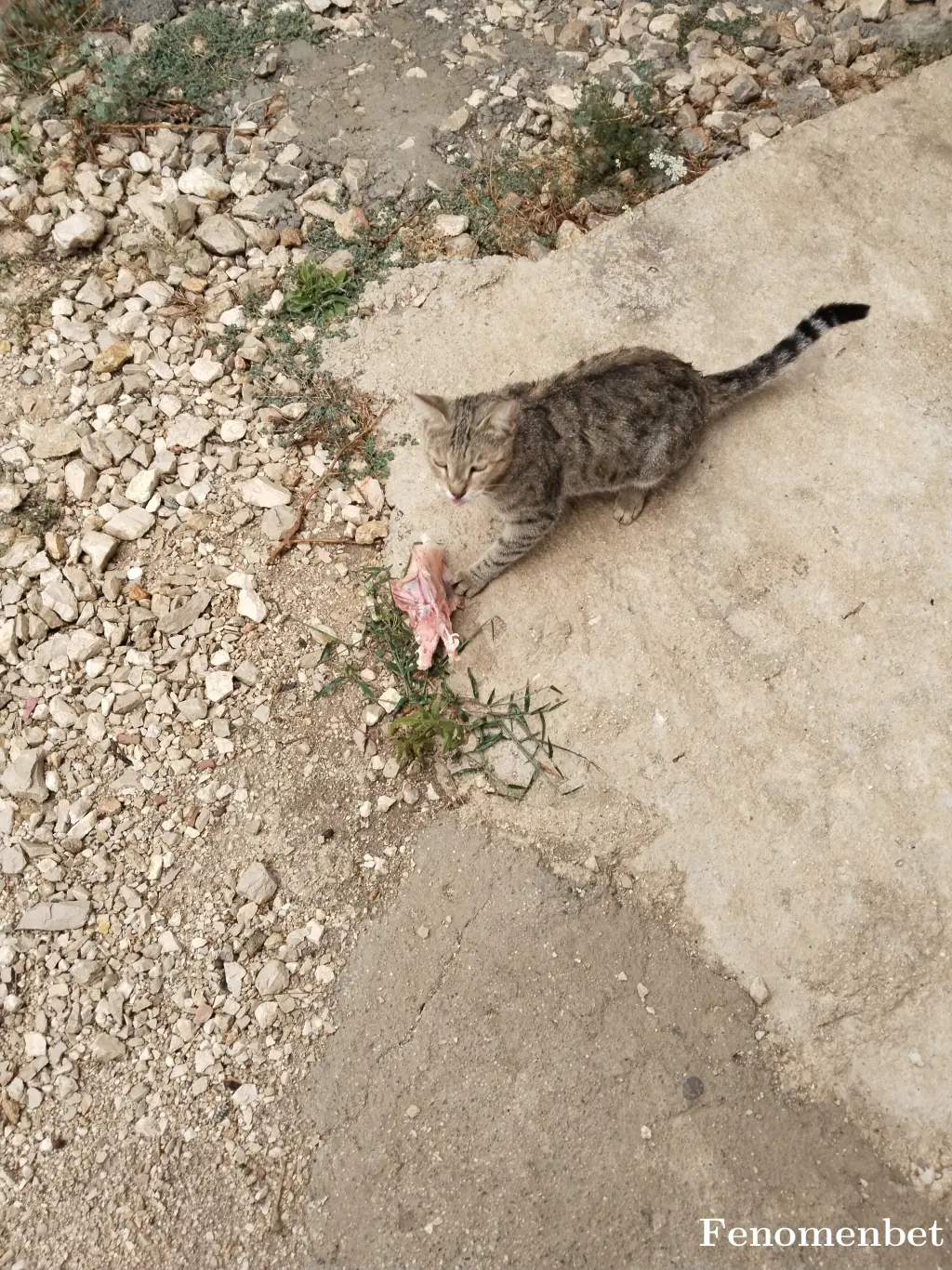 Zeychan tarafından paylaşılan fotoğraf