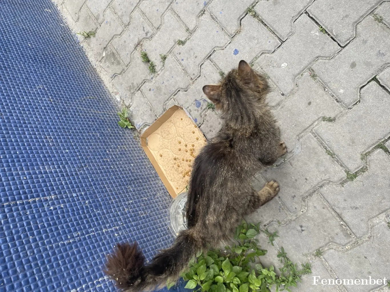Mabel01 tarafından paylaşılan fotoğraf