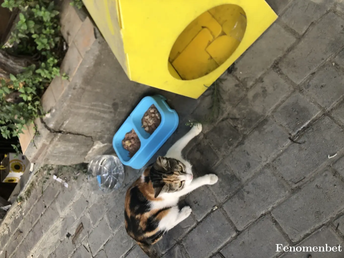 Alpsklm tarafından paylaşılan fotoğraf