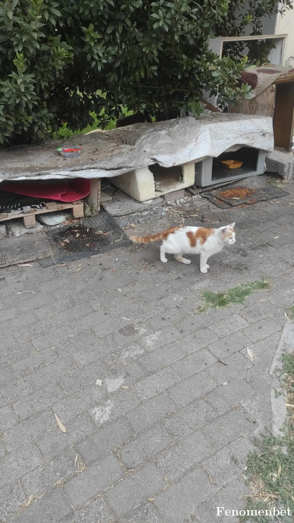 Avayfi tarafından paylaşılan fotoğraf