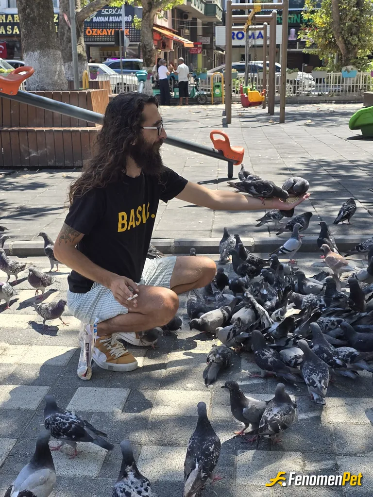 Sokak hayvanı besleme: Düzenli olarak her gün 2 paket aşurelik buğday alıp ellerimle beslerim.